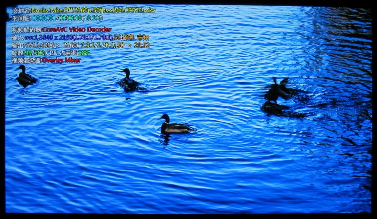 AVC.duck.50fps.正常.JPG
