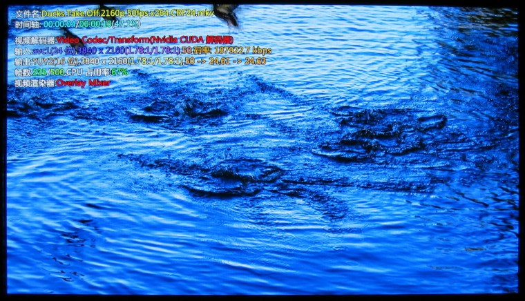 CUDA.duck.50fps.正常.JPG