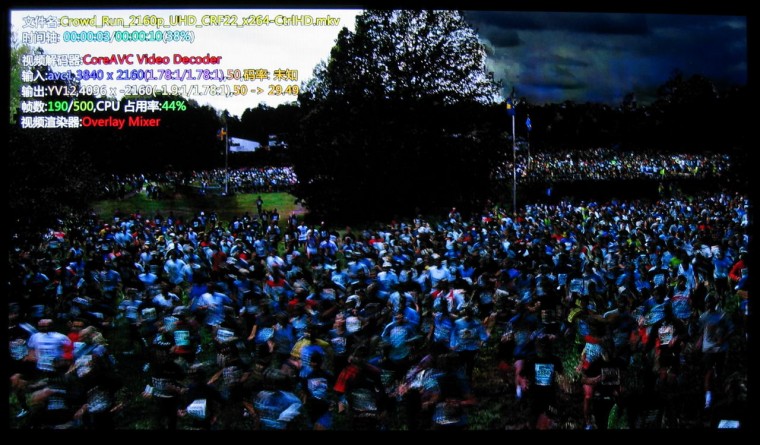 AVC.run.crf22.花.JPG