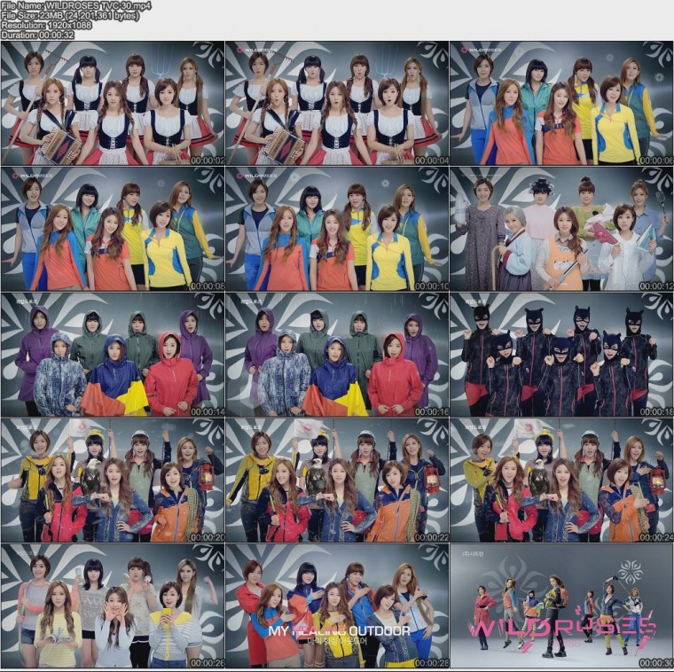 WILDROSES TVC 30.jpg