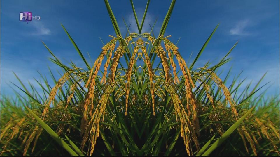 [HDclub][HDTV]Hi Taiwan Part1[(002162)12-10-17].JPG