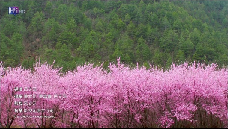 0601225157DVB-T公共電視Hi_HD.mp4_snapshot_01.13_[2012.06.01_23.01.17].jpg