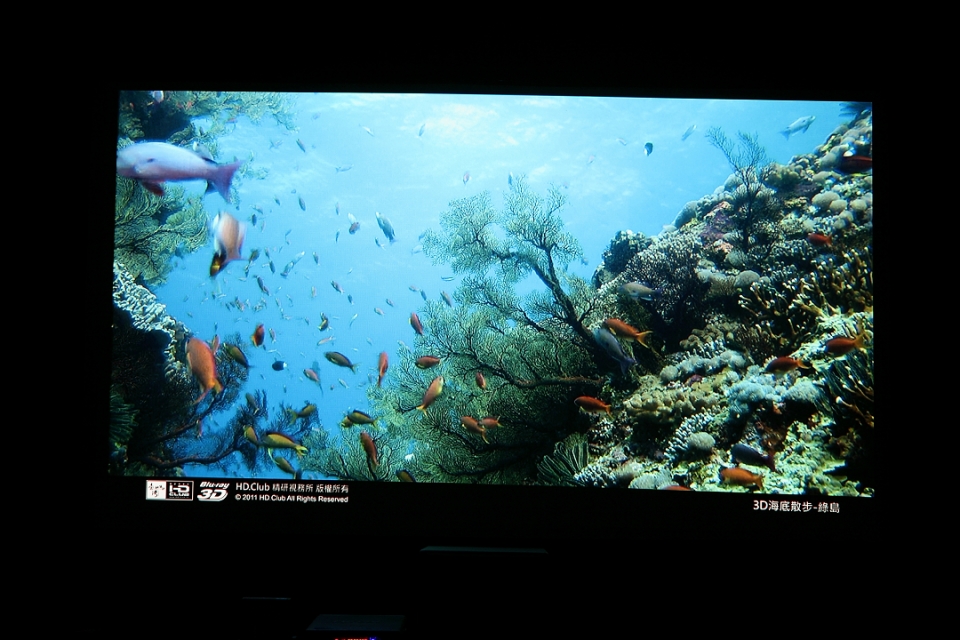 DPP_0326.jpg