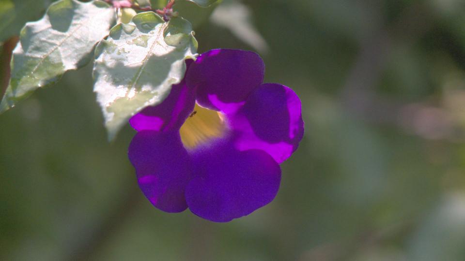 Still0908_00004.jpg