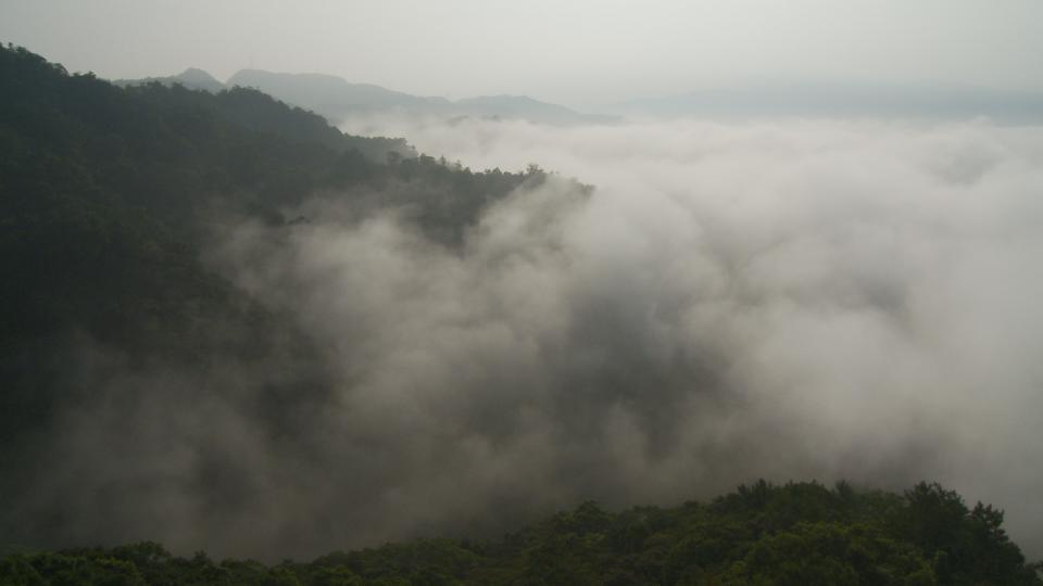 Still0913_00000 copy.jpg