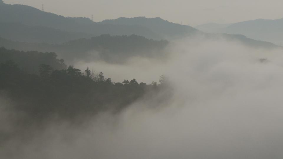 Still0913_00016 copy.jpg