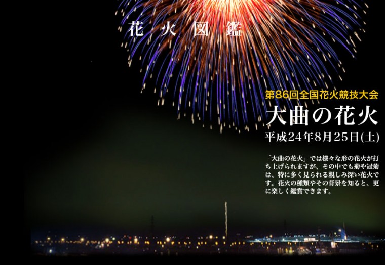 全国花火競技大会5.jpg