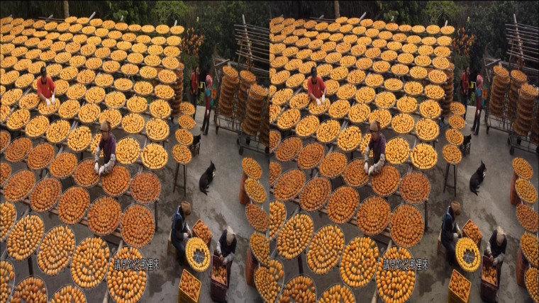 0530235502DVB-T公共電視Hi_HD.mp4_snapshot_12.53_[2012.05.31_11.48.40]-xx.jpg
