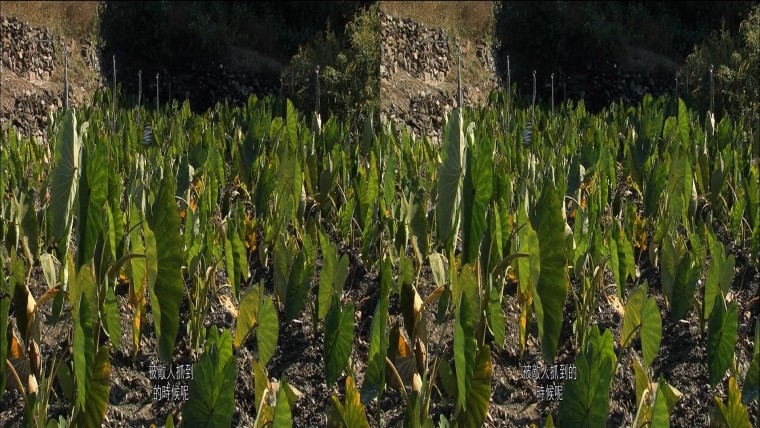 0530235502DVB-T公共電視Hi_HD.mp4_snapshot_28.00_[2012.05.31_12.33.38]-XXX.jpg