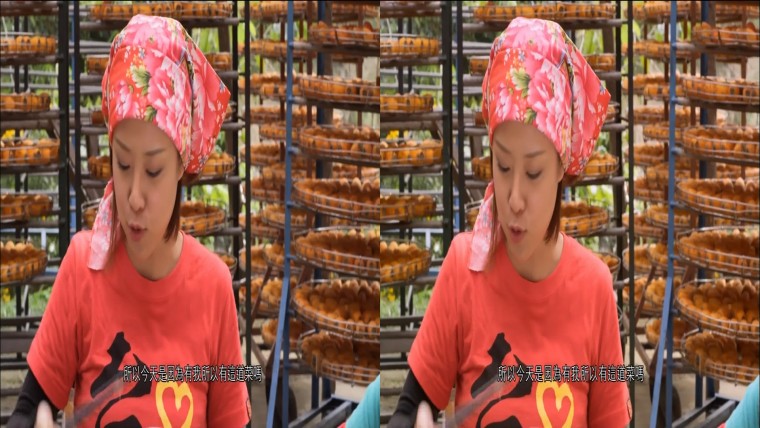 0530235502DVB-T公共電視Hi_HD.mp4_snapshot_17.07_[2012.05.31_11.53.45]-xx.jpg