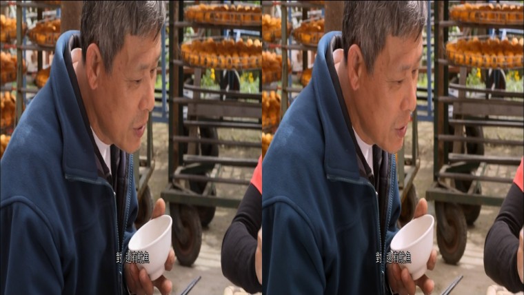 0530235502DVB-T公共電視Hi_HD.mp4_snapshot_17.20_[2012.05.31_11.54.34]-xx.jpg