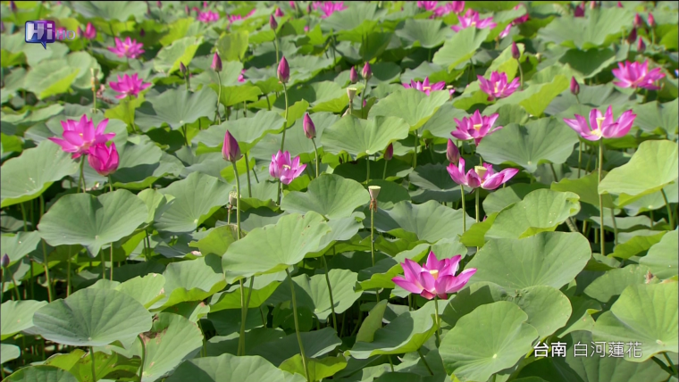 vlcsnap-2012-06-04-09h36m54s157.png