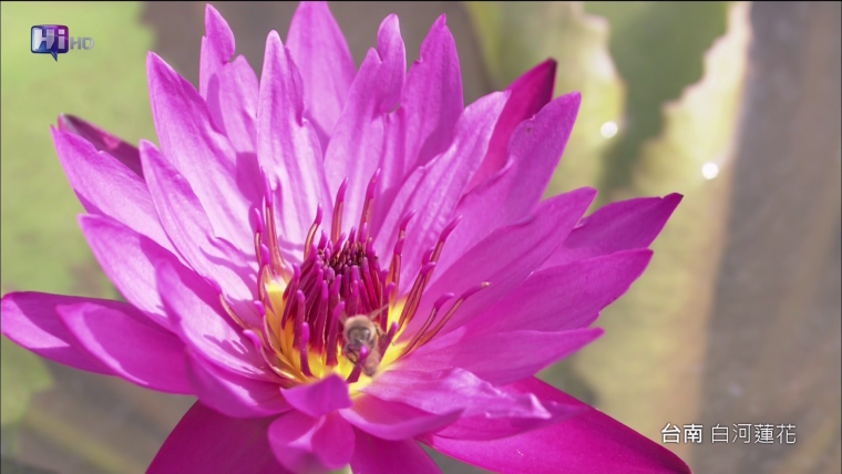 vlcsnap-2012-06-04-09h42m22s92.png