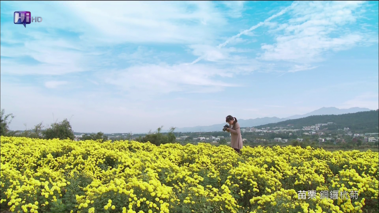 vlcsnap-2012-06-05-11h09m19s53.png