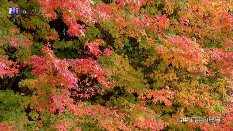 vlcsnap-2012-06-05-11h10m52s240.png