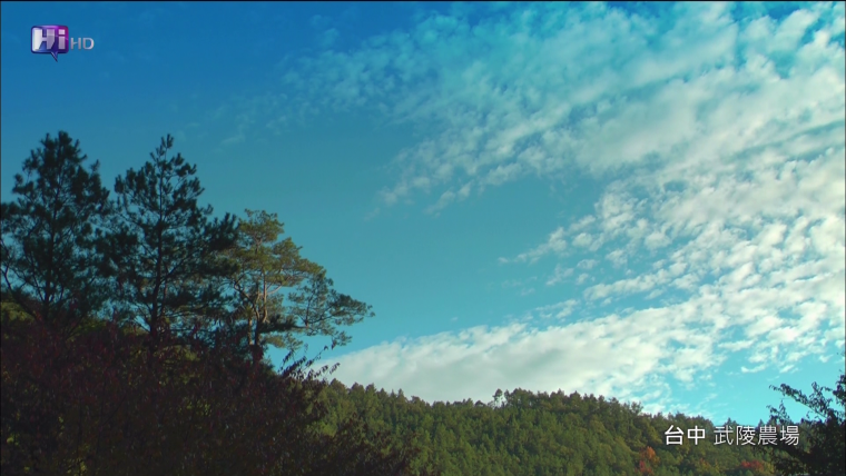 vlcsnap-2012-06-05-11h12m42s65.png
