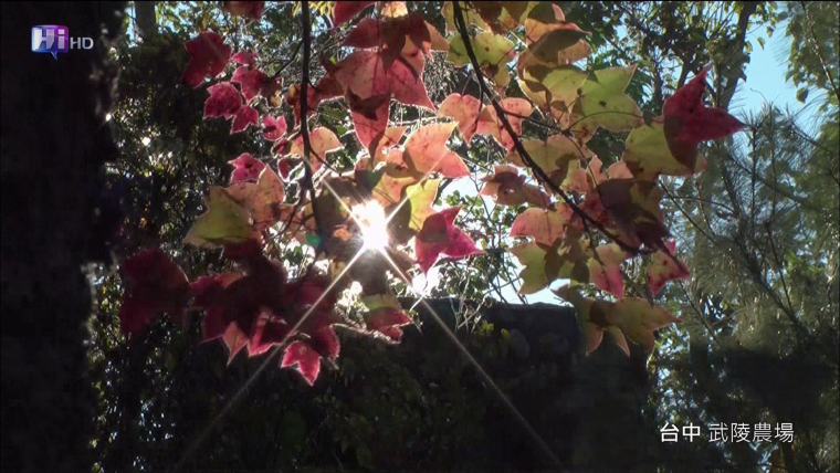 vlcsnap-2012-06-05-11h13m28s13.png
