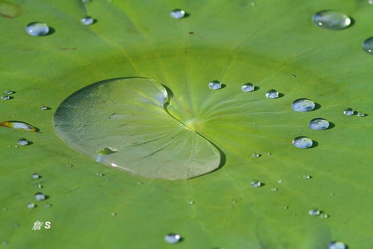 水珠002.jpg