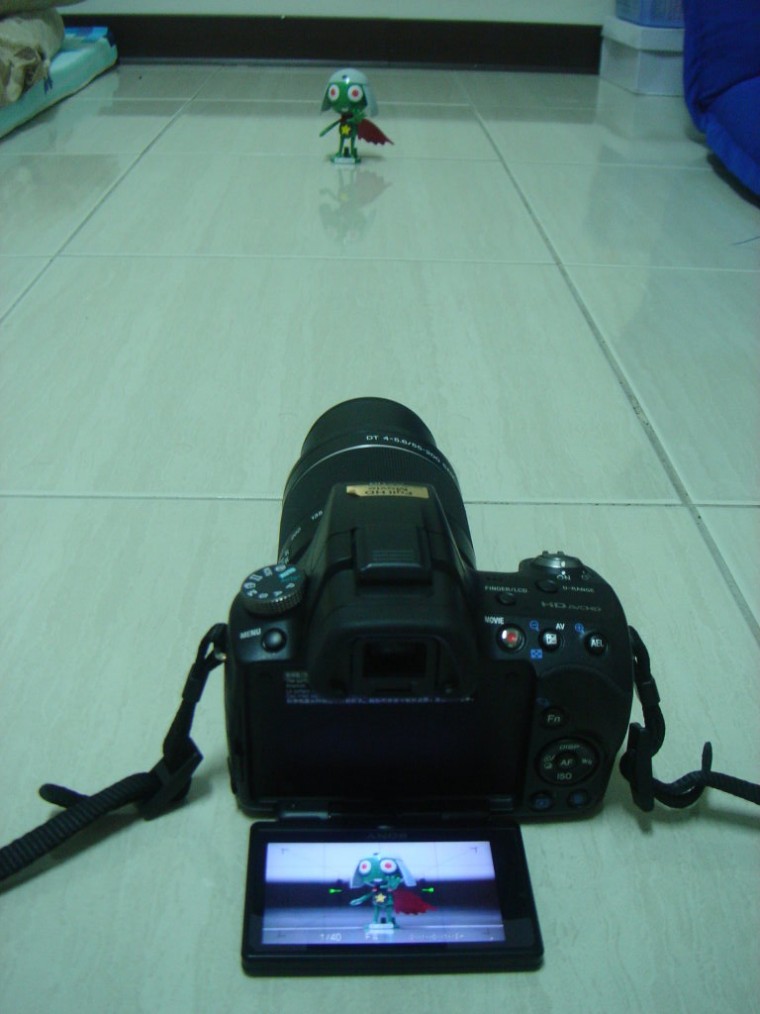 DSC00006.JPG
