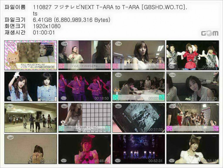 FUJI NEXT T-ARA to T-ARA.jpg