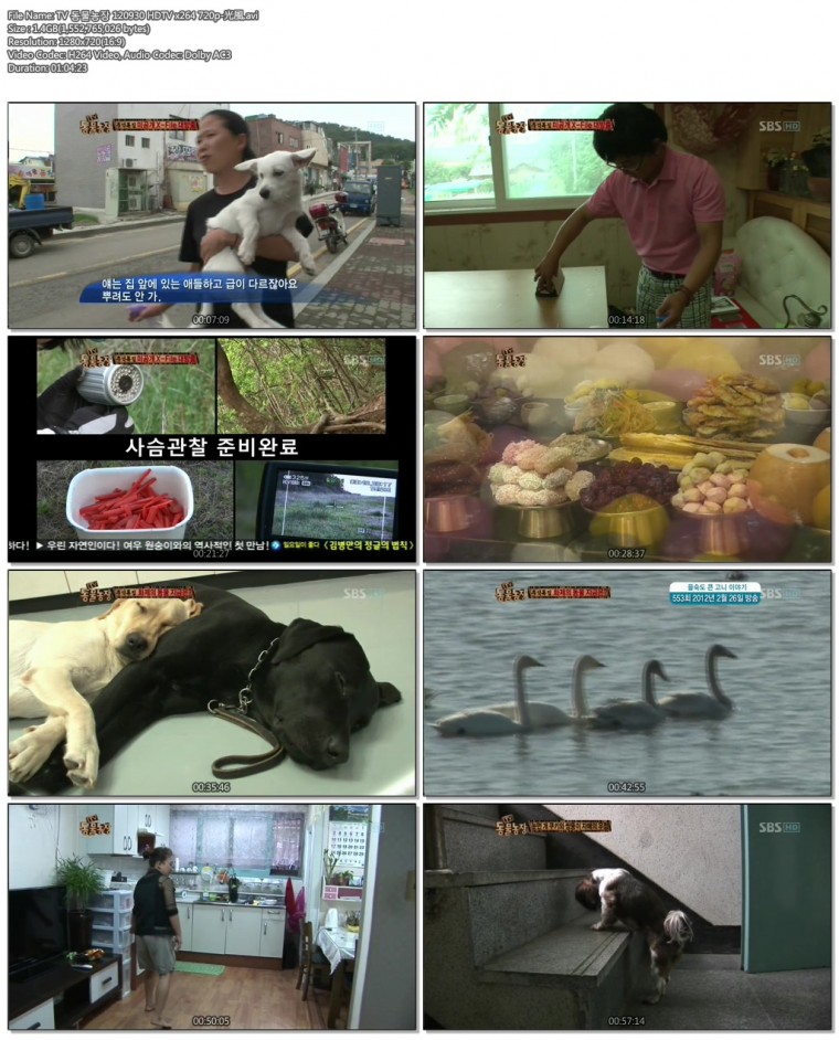 TV 동물농장 120930 HDTV x264 720p-光風.avi.jpg