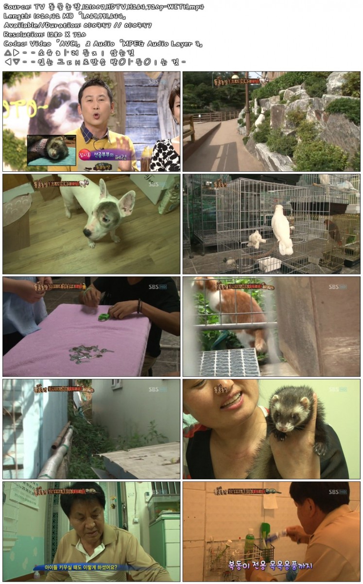 TV 동물농장.121007.HDTV.H264.720p-WITH.mp4.jpg