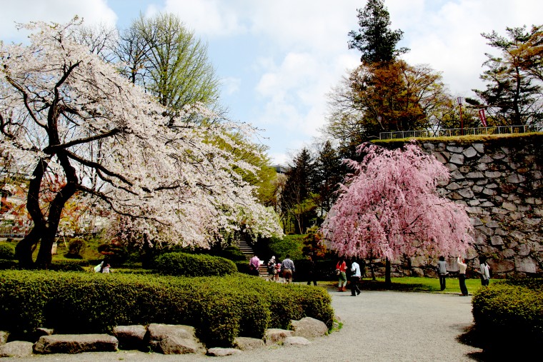盛岡城跡公園