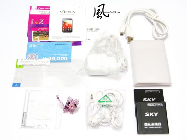 SA820L06.jpg