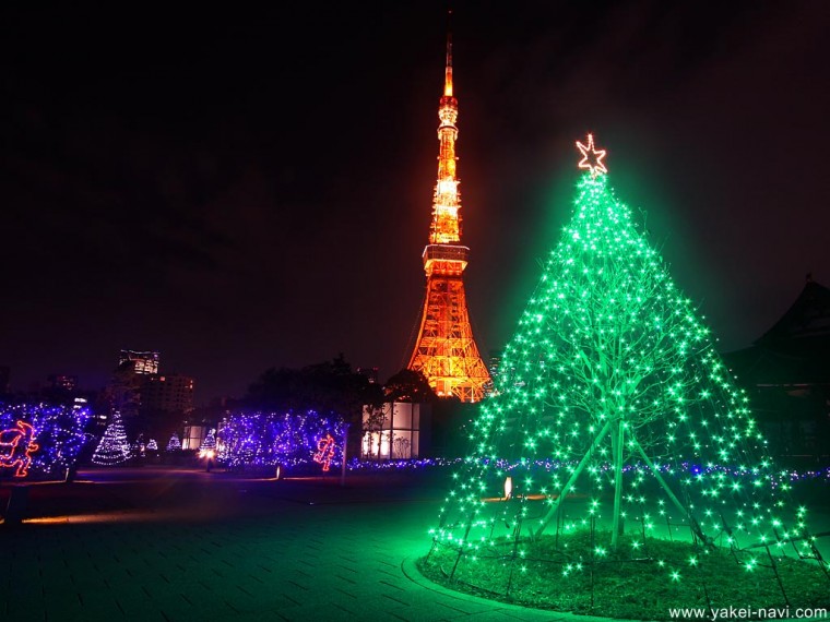東京タワー  夜景5.jpg