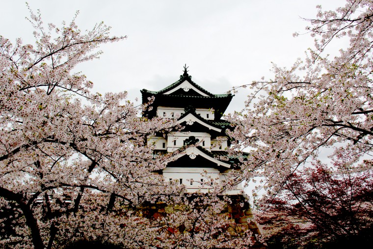 弘前公園(3)