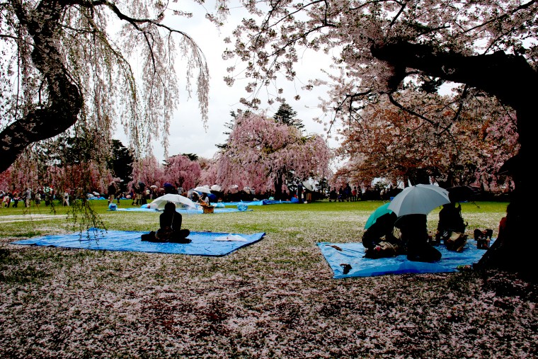 弘前公園(2)