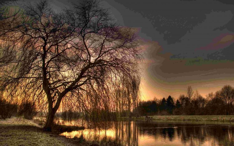 01460_sundaymorningii_2560x1600.jpg
