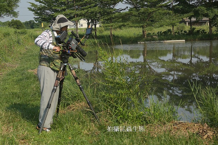 昆蟲拍攝001.jpg