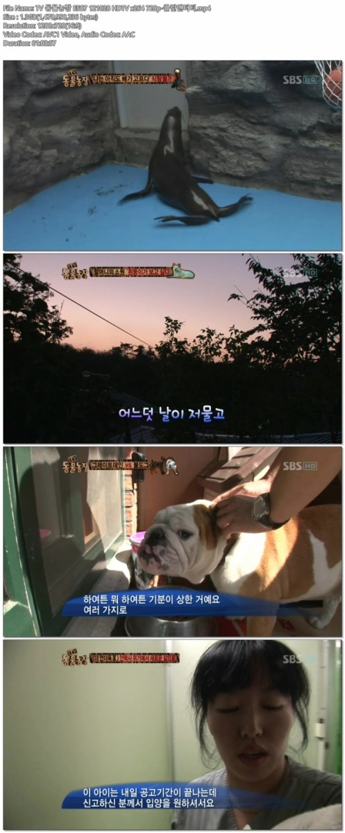 TV 동물농장 E587 121028 HDTV x264 720p-클린앤더티.mp4.jpg