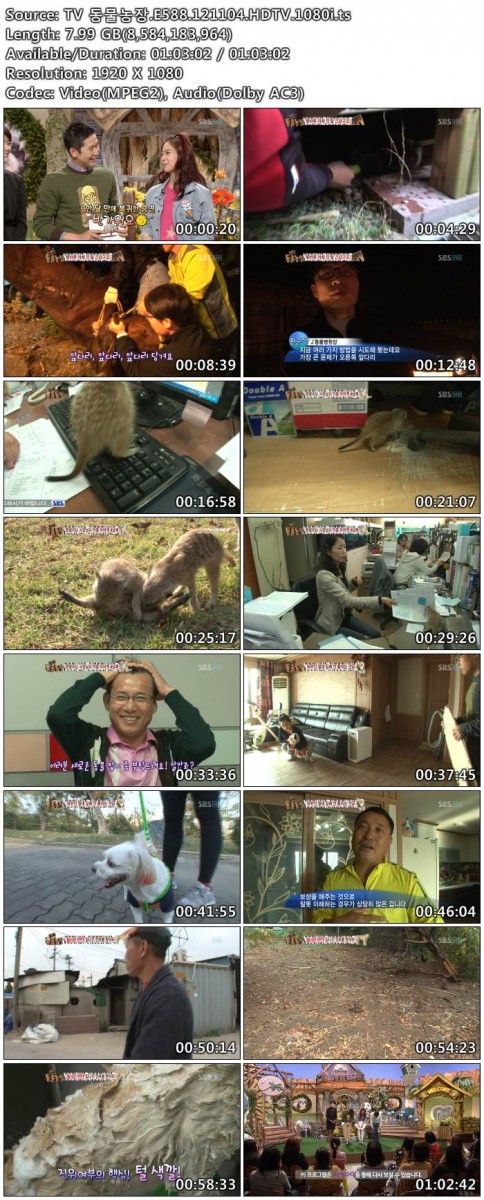 TV 동물농장.E588.121104.HDTV.1080i.ts.jpg