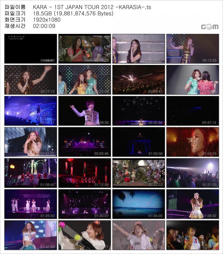 KARA - 1ST JAPAN TOUR 2012 -KARASIA-.ts.jpg