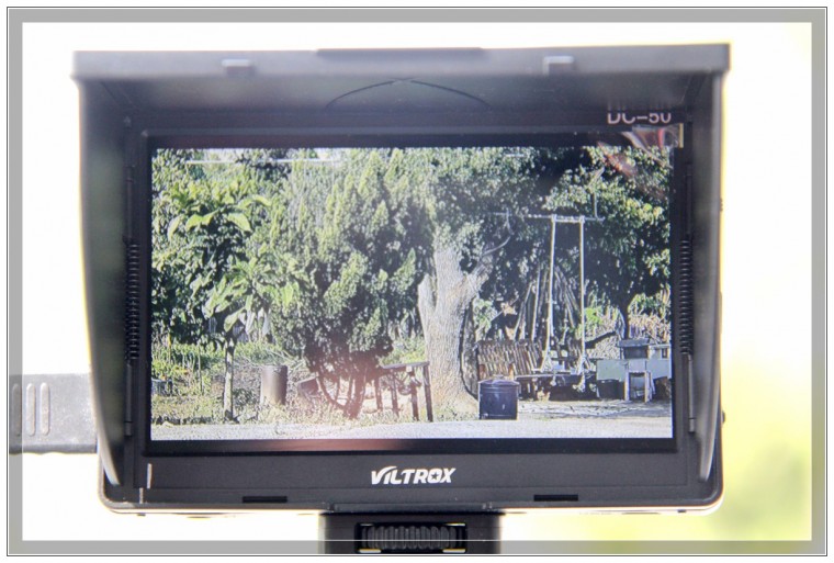 _MG_0010.jpg