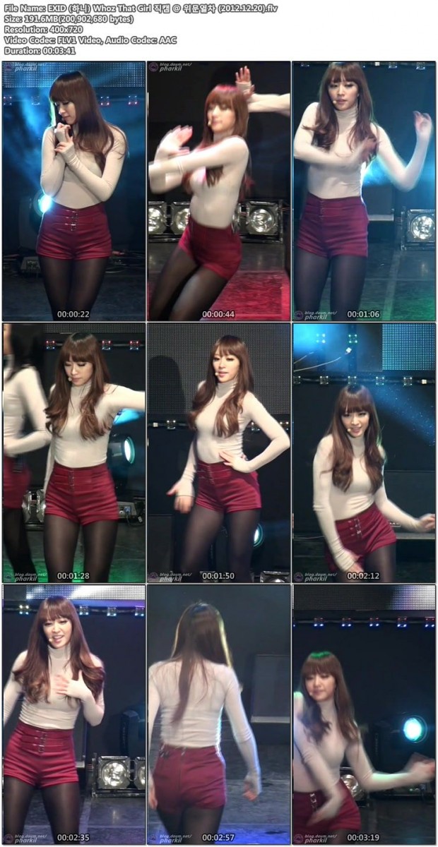 EXID 위문열차 (2012.12.20)02.jpg