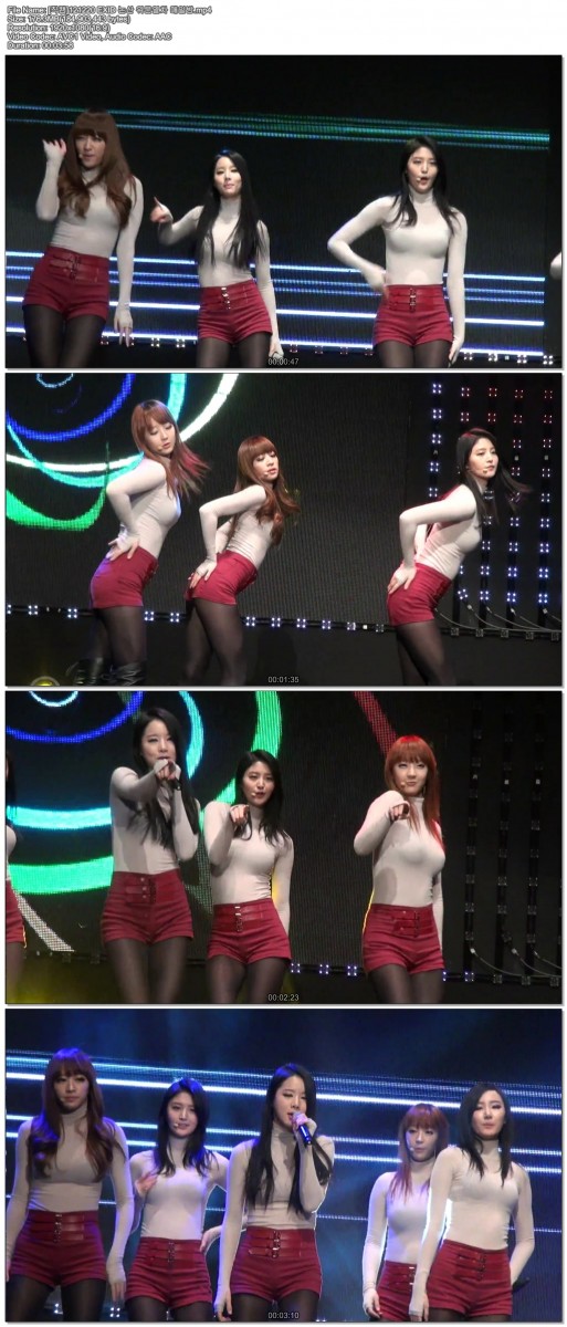 [직캠]121220 EXID 논산 위문열차01.jpg