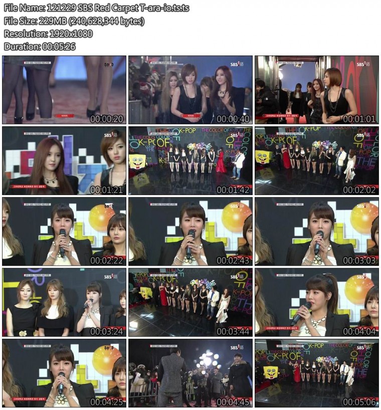 121229 SBS Red Carpet T-ara-io.jpg