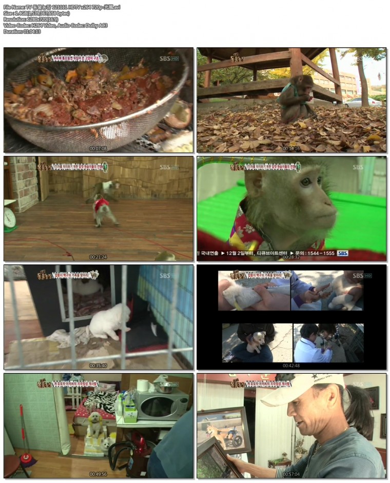 TV 동물농장 121111 HDTV x264 720p-光風.avi.jpg