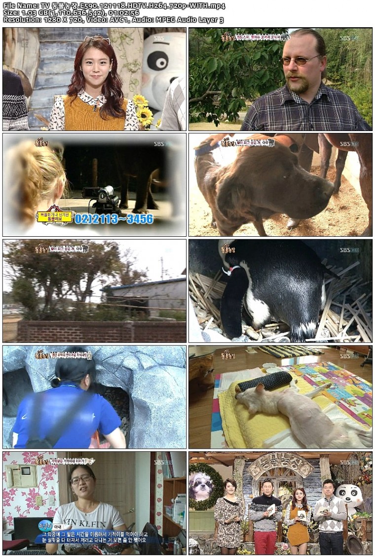 TV 동물농장.E590.121118.HDTV.H264.720p-WITH.mp4.jpg