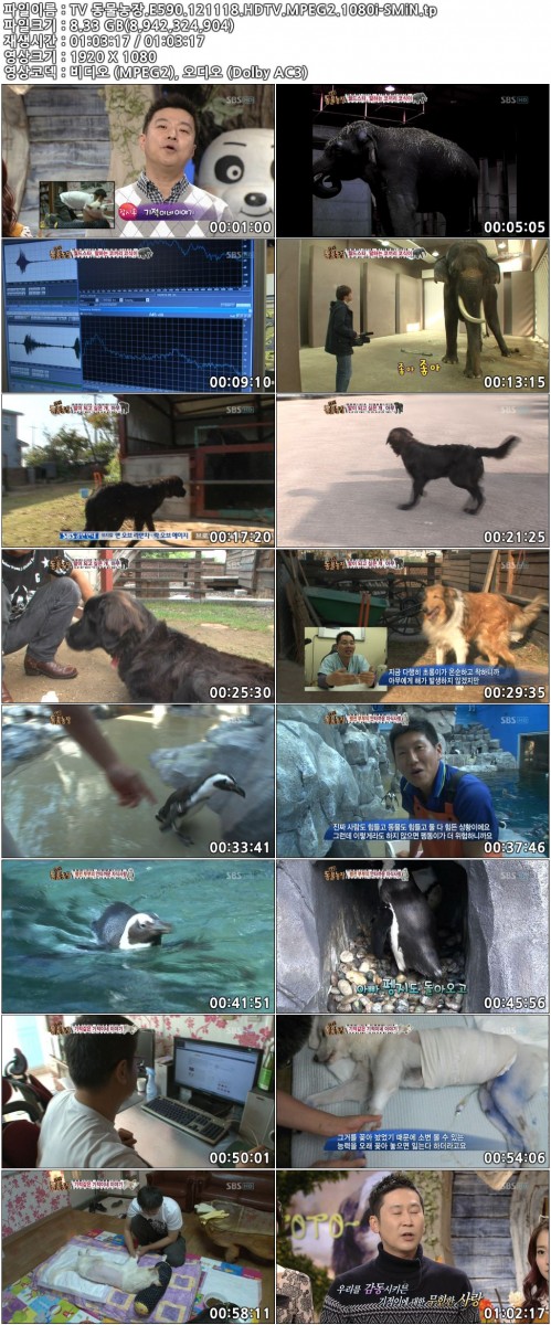 TV 동물농장.E590.121118.HDTV.MPEG2.1080i-SMiN.tp.jpg