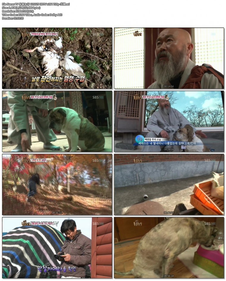 TV 동물농장 121125 HDTV x264 720p-光風.avi.jpg