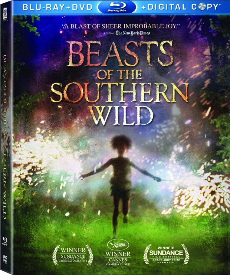 Beasts of the Southern Wild.jpg