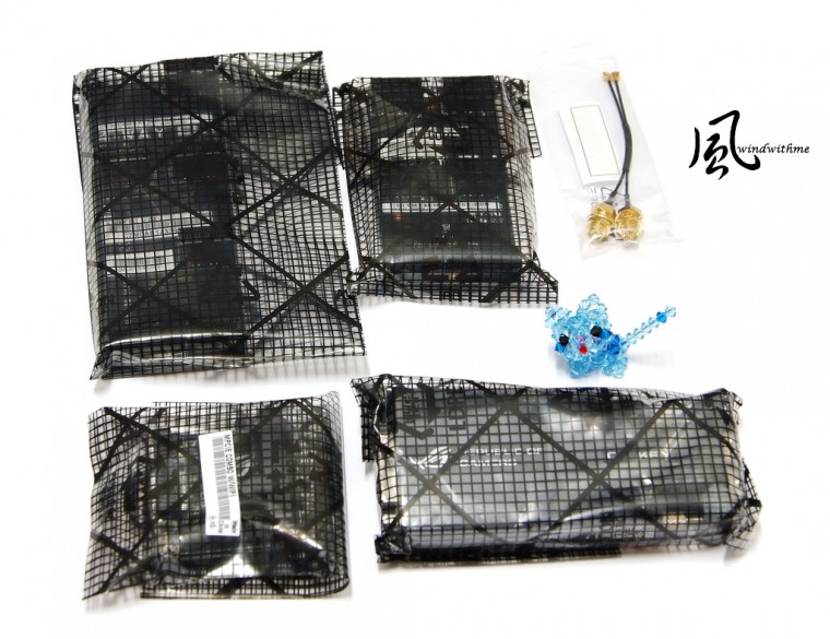 AROGZ7705.jpg