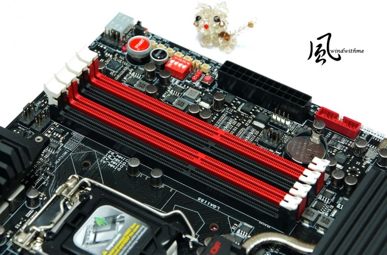AROGZ7708.jpg