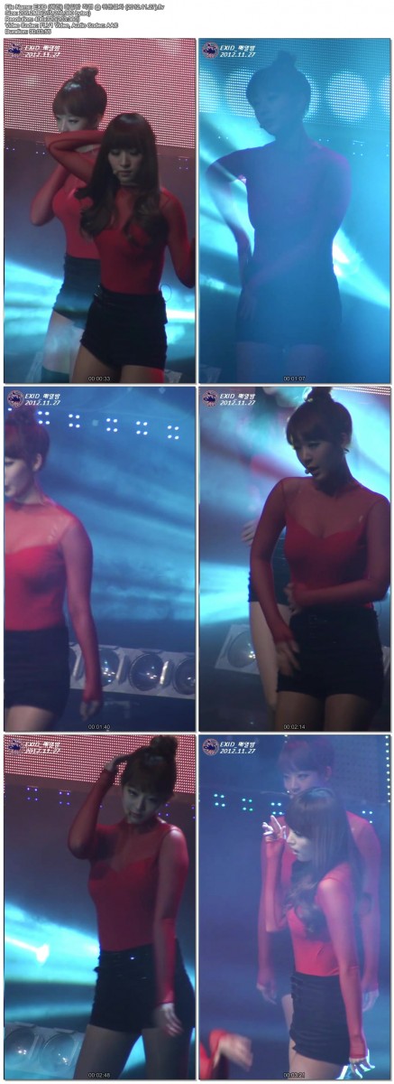[직캠]EXID @ 위문열차 (2012.11.27) by pharkil03.jpg