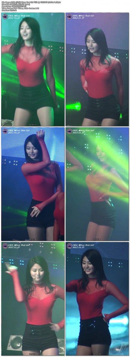 [직캠]EXID @ 위문열차 (2012.11.27) by pharkil01.jpg