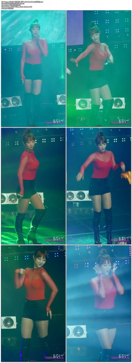 [직캠]121127 위문열차 양주 EXID by EDIT01.jpg